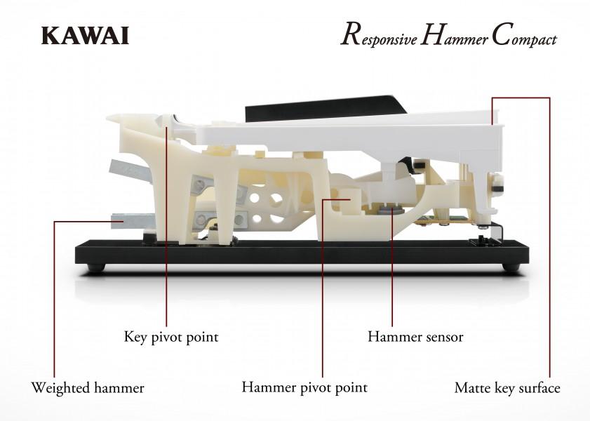 KAWAI DETAIL CLAVIER PIANO PORTABLE DE SCENE 88 NOTES 19 SONS. 192 POLY. Mode Dual Split Réverb. Room, Small Hall, Concert Hall, Off Damper Resonance, voicing, Fall-back Noise, Damper Noise, Brilliance, Speaker EQ Enregistreur 3 moreceaux - mémoire 15.000 notes Registration 4 mémoires Métronome Volume/Tempo réglable 100 rythmes démo 12 morceaux Transpose, MIDI (IN/OUT),LINE OUT (L/MONO, R), 2 Prises Casque Bluetooth H.P. 2 H.P. 12 cm 2x7W Dim 1312 x 286 x 148 - 12 kg Pédale pupitre Alim